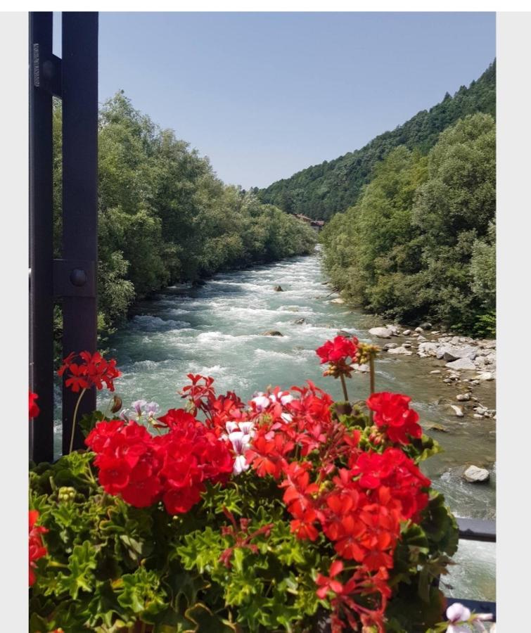 Marilleva 1400 Tra Sport E Natura Luaran gambar
